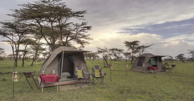 Dome camping tents with folding chairs, a small table and hurricane lanterns on grass under acacia trees at dusk