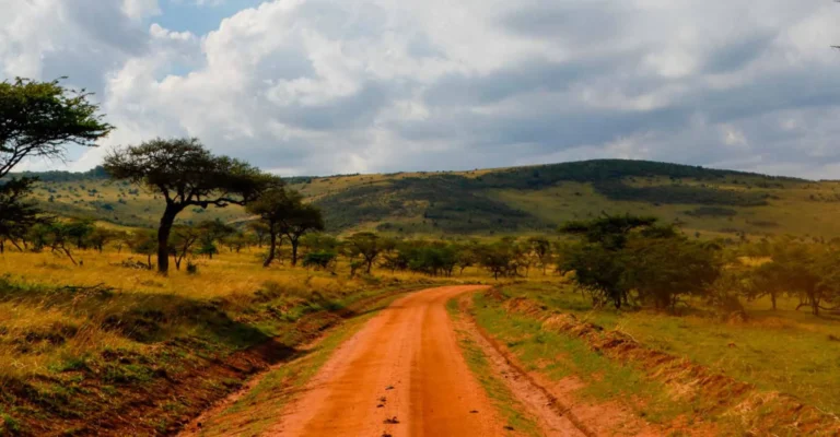 A red dirt road winds through golden grass and flat-topped acacia trees towards green hills