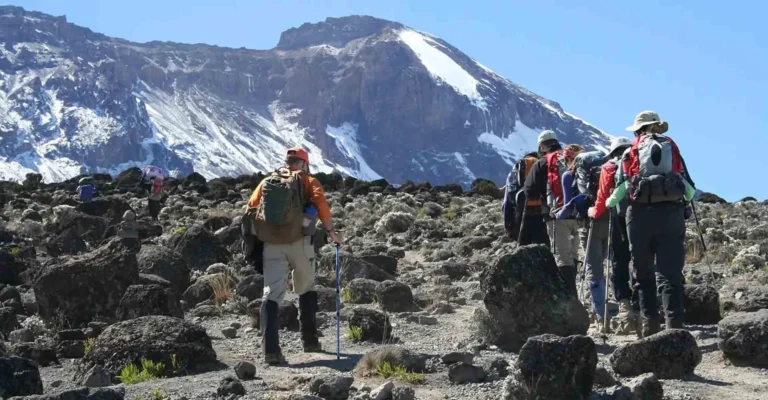 Trekkers with daypacks and poles walk through rocky alpine desert towards the snow-streaked slopes of Kibo