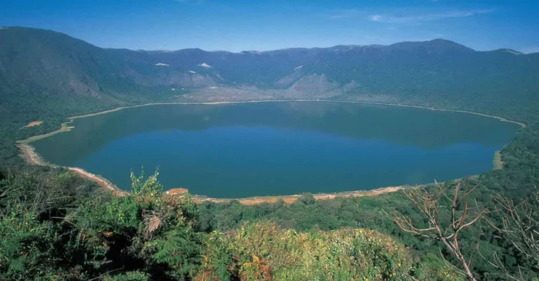 A deep blue-green crater lake ringed by steep forested walls, seen from the rim under a clear sky