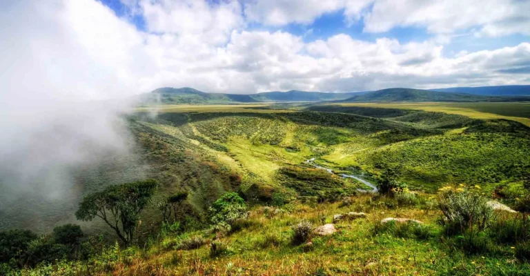 Mist drifts over a green highland valley where a small stream winds between grassy slopes and trees