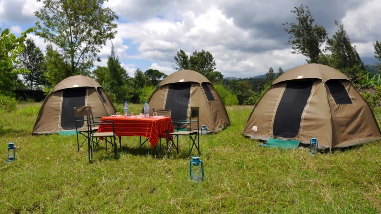 Three dome camping tents and a table laid with a red cloth and folding chairs on a grassy campsite