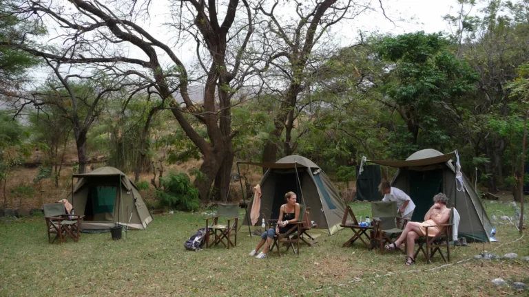 Travellers relaxing in folding camp chairs beside dome tents on a shady grass campsite under large trees