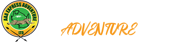 AAA Express Adventure logo