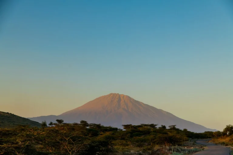 Mount Meru glowing pink and orange at sunset above dark acacia bush