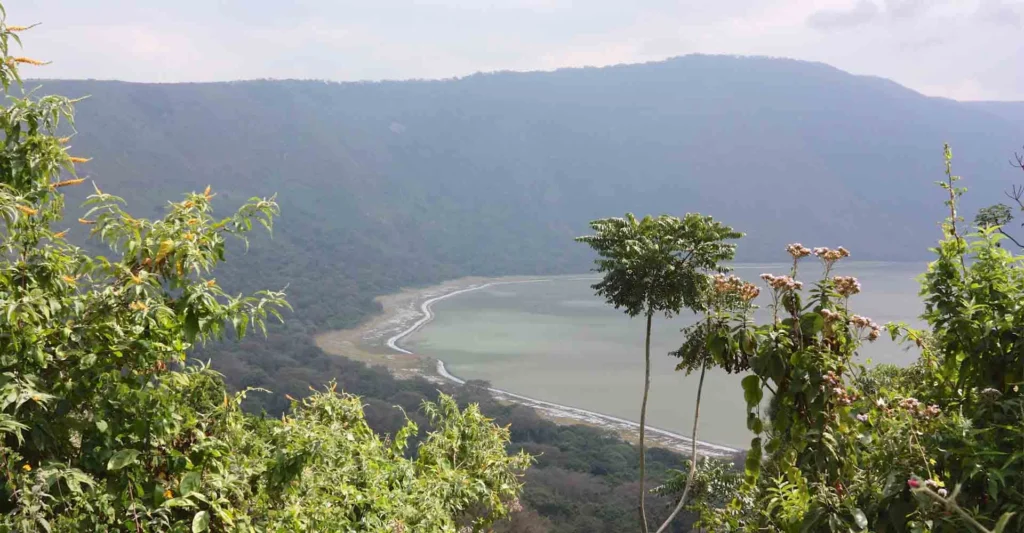 The Ngorongoro Crater floor and its soda lake seen through trees on the forested crater rim