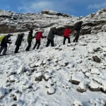 A group of climbers with trekking poles picks a way across snow-dusted boulders in Kilimanjaro's alpine zone