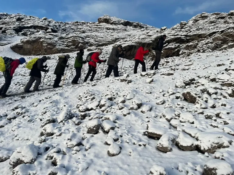 A group of climbers with trekking poles picks a way across snow-dusted boulders in Kilimanjaro's alpine zone
