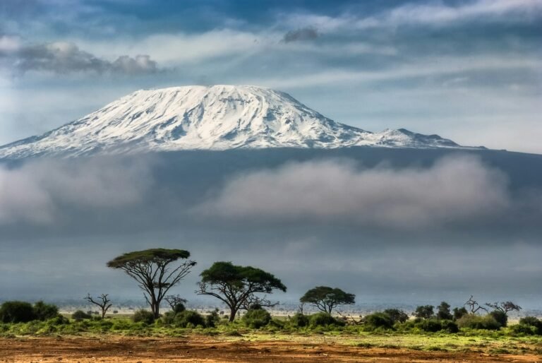Snow-capped summit of Mount Kilimanjaro rising above a band of cloud, with flat-topped acacia trees on the plains in the foreground