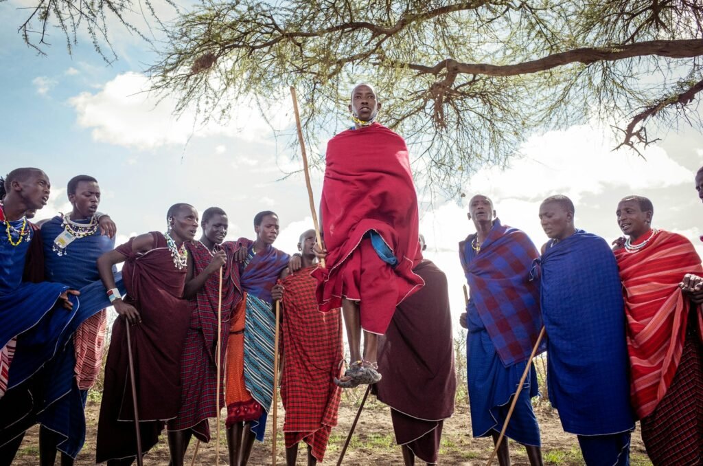 Maasai men and women in red and blue shukas and beaded collars watch as a young man leaps high in the traditional adumu jumping dance under an acacia tree in Tanzania