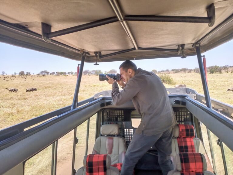 A traveller photographs wildebeest from the open pop-up roof of a safari vehicle on the grassy plains
