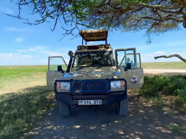 A Honesha 4x4 safari vehicle with its roof raised, parked in the shade of an acacia on the plains