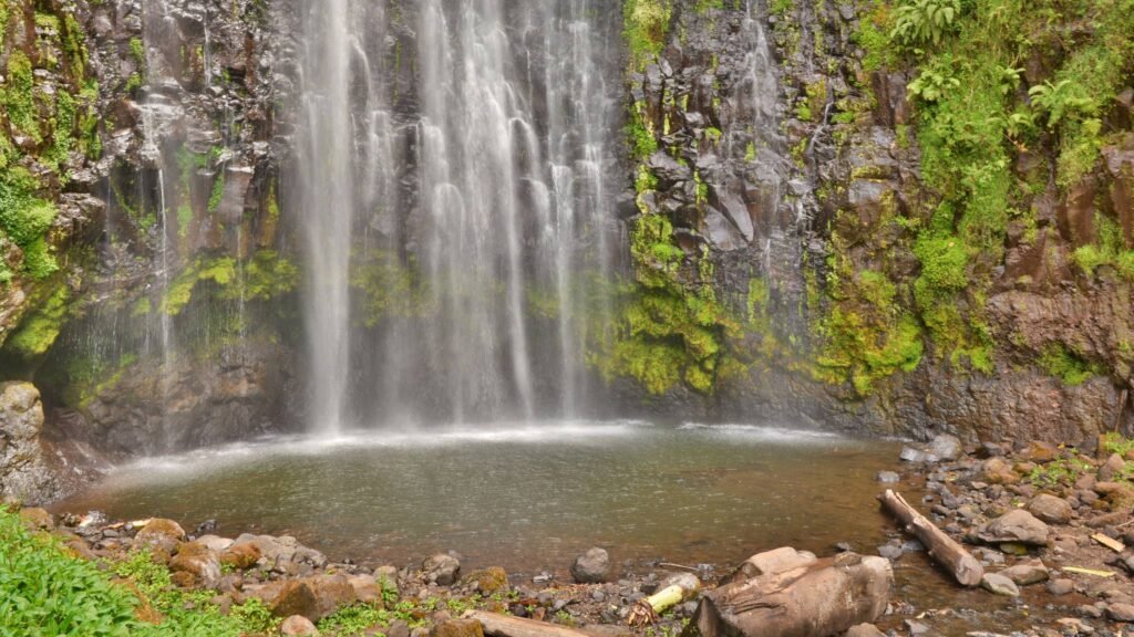 Materuni Waterfall dropping down a mossy cliff into a rock pool on the slopes of Kilimanjaro