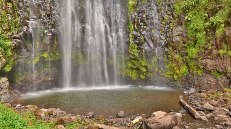 Materuni Waterfall dropping down a mossy cliff into a rock pool on the slopes of Kilimanjaro